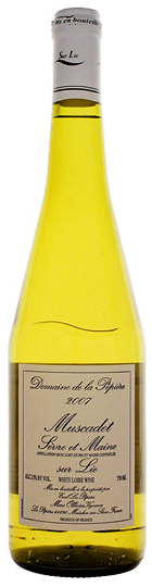 bottle shot bottle shot
