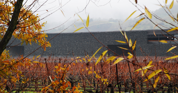 dom-rain Dominus Winery in the rain and from a distance.
