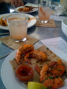 hungry-cat-shrimp
